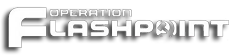 Игра Operation Flashpoint описание